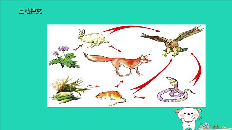 （苏科版）七年级生物上册3.6.2食物网课件06