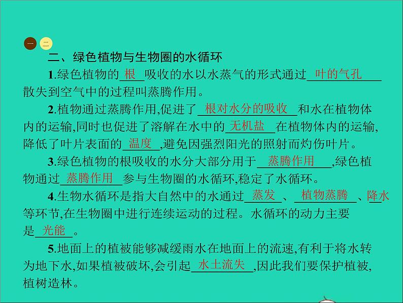 （苏教版）七年级上册3.7.2绿色植物与生物圈的物质循环习题课件（生物）第3页