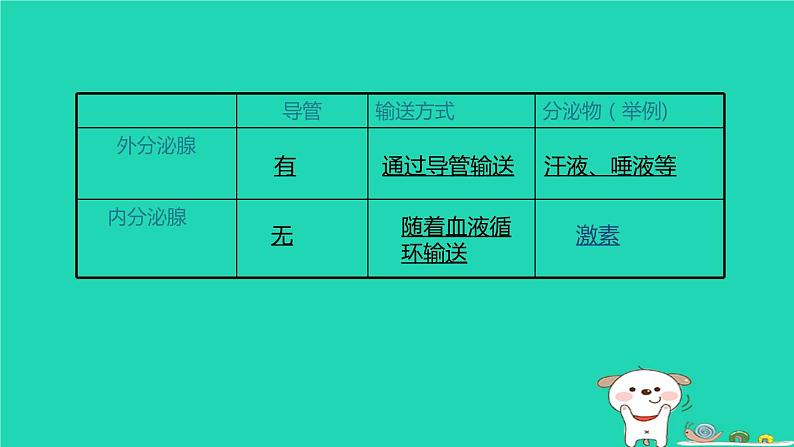 （苏科版）八年级生物上册6.16.3人体的激素调节课件第5页