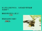 动物的生殖PPT课件免费下载