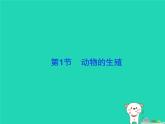动物的生殖PPT课件免费下载