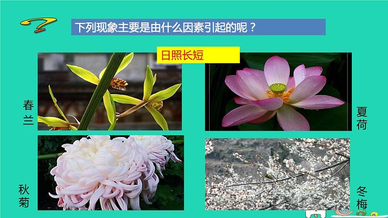 环境影响生物的生存PPT课件免费下载06