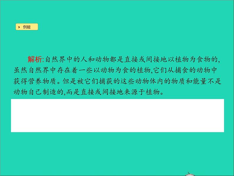 绿色植物是食物之源PPT课件免费下载07