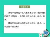 植物的生长发育PPT课件免费下载