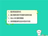 人体的运动PPT课件免费下载