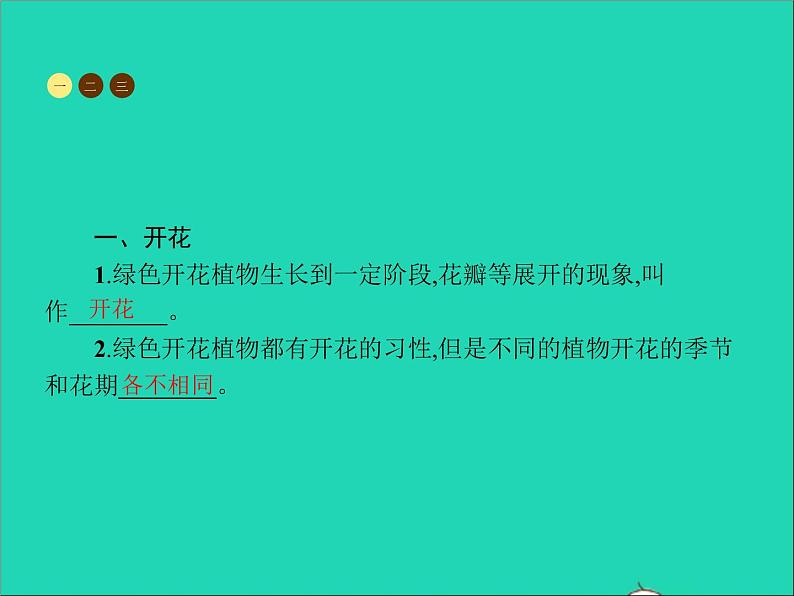 植物的开花和结果PPT课件免费下载02