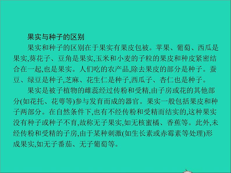 植物的开花和结果PPT课件免费下载05