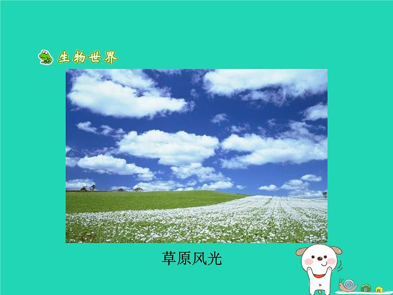 （鲁科版五四制）七年级生物下册4.7.3拟定保护生态环境的计划课件第6页