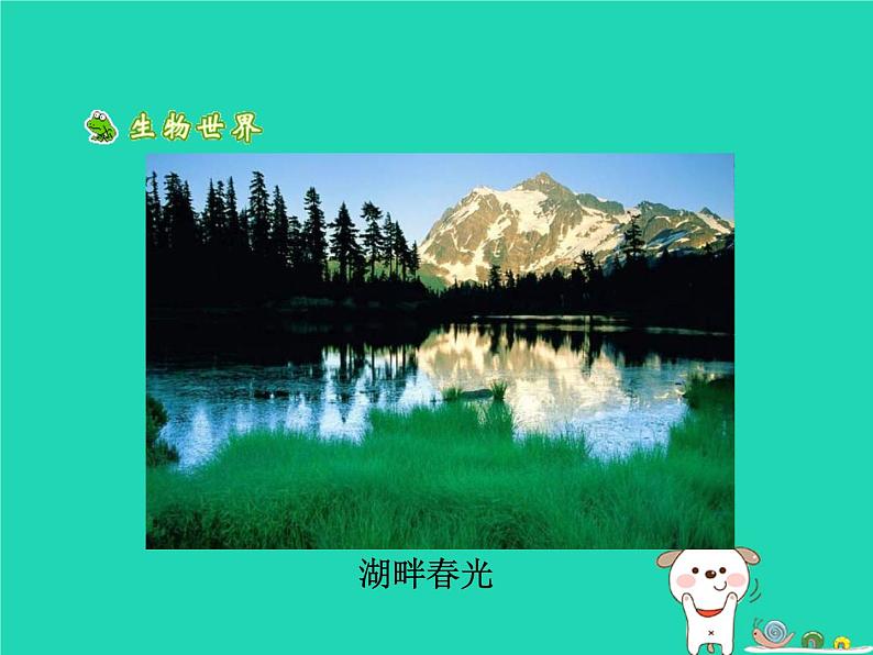 （鲁科版五四制）七年级生物下册4.7.3拟定保护生态环境的计划课件第7页