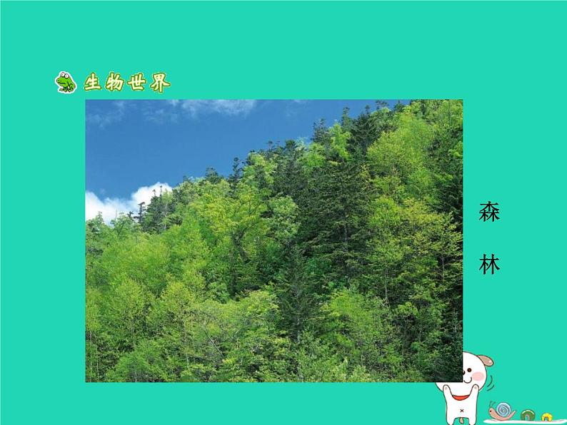 （鲁科版五四制）七年级生物下册4.7.3拟定保护生态环境的计划课件第8页