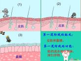 （鲁科版五四制）七年级生物下册5.1.2免疫和计划免疫课件