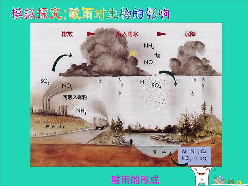 （鲁科版五四制）七年级生物下册4.7.2探究环境污染对生物的影响课件05