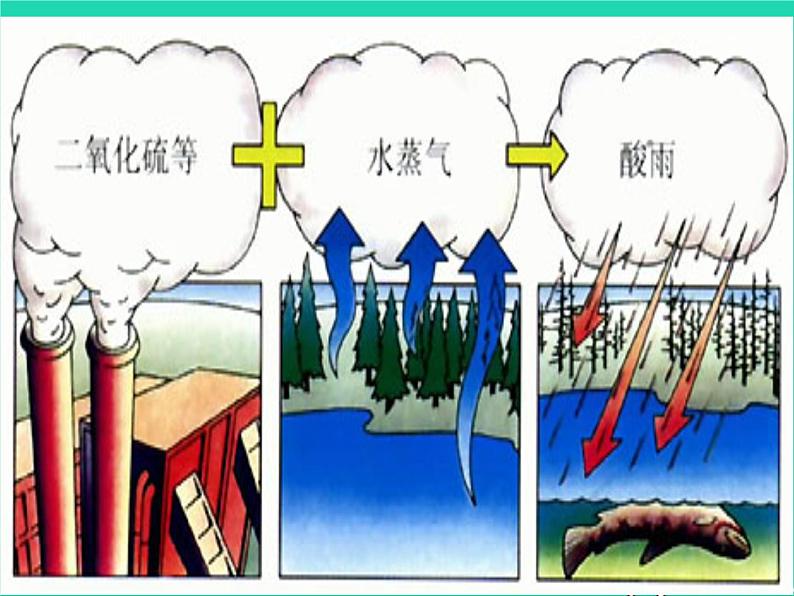 （鲁科版五四制）七年级生物下册4.7.2探究环境污染对生物的影响课件06