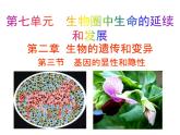 （新人教版）八年级生物下册7.2.3基因的显性和隐性教学课件