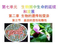 生物八年级下册第三节  基因的显性和隐性教学课件ppt