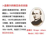 （新人教版）八年级生物下册7.2.3基因的显性和隐性教学课件