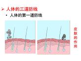 （新人教版）八年级生物下册8.1.2免疫与计划免疫教学课件