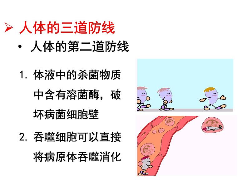 （新人教版）八年级生物下册8.1.2免疫与计划免疫教学课件第6页