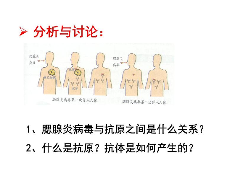 （新人教版）八年级生物下册8.1.2免疫与计划免疫教学课件第8页