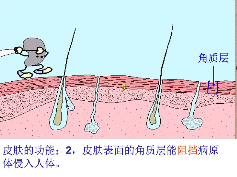 （新人教版）八年级生物下册8.1.2《免疫与计划免疫》教学课件第4页