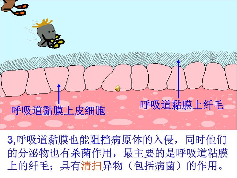 （新人教版）八年级生物下册8.1.2《免疫与计划免疫》教学课件第5页