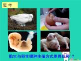 （新人教版）八年级生物上册第一章第七节哺乳动物课件