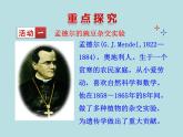 （新人教版）八年级下册第三节基因的显性和隐性教学课件（生物）