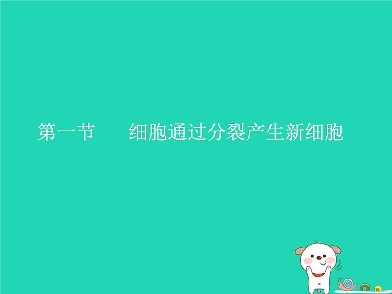 （新人教版）七年级生物上册2.2.1细胞通过分裂产生新细胞课件(1)第1页