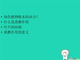 （新人教版）七年级生物上册3.3绿色植物与生物圈的水循环课件