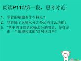 （新人教版）七年级生物上册3.3绿色植物与生物圈的水循环课件