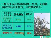 （新人教版）七年级生物上册3.3绿色植物与生物圈的水循环课件