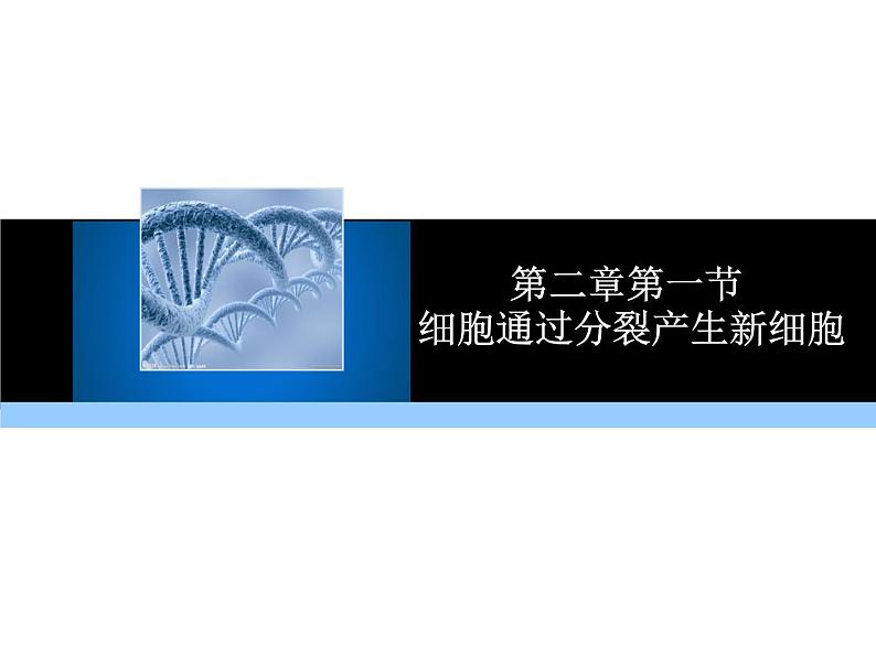 （新人教版）七年级生物上册第二单元细胞通过分裂产生新细胞教学课件第1页