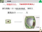 （新人教版）七年级生物上册第二单元细胞通过分裂产生新细胞教学课件