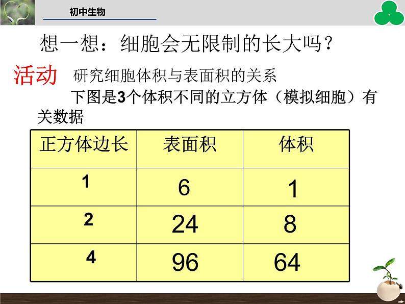 （新人教版）七年级生物上册第二单元细胞通过分裂产生新细胞教学课件第5页