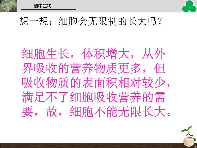 （新人教版）七年级生物上册第二单元细胞通过分裂产生新细胞教学课件第6页