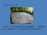 （新人教版）七年级生物上册第三单元第三章绿色植物与生物圈的水循环课件