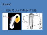 （新人教版）七年级生物上册第三单元第三章绿色植物与生物圈的水循环课件