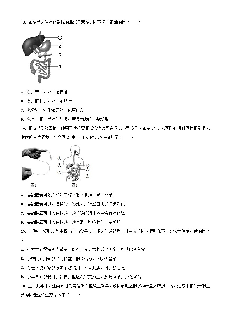 江苏省徐州学年七年级上期末抽测生物试题（原卷版+解析））第3页