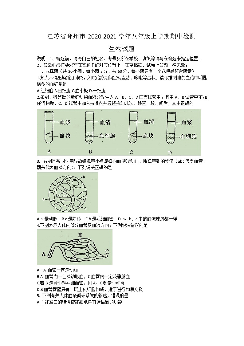 江苏省邳州市2020-2021学年八年级上学期期中检测生物试题（word版含答案）第1页