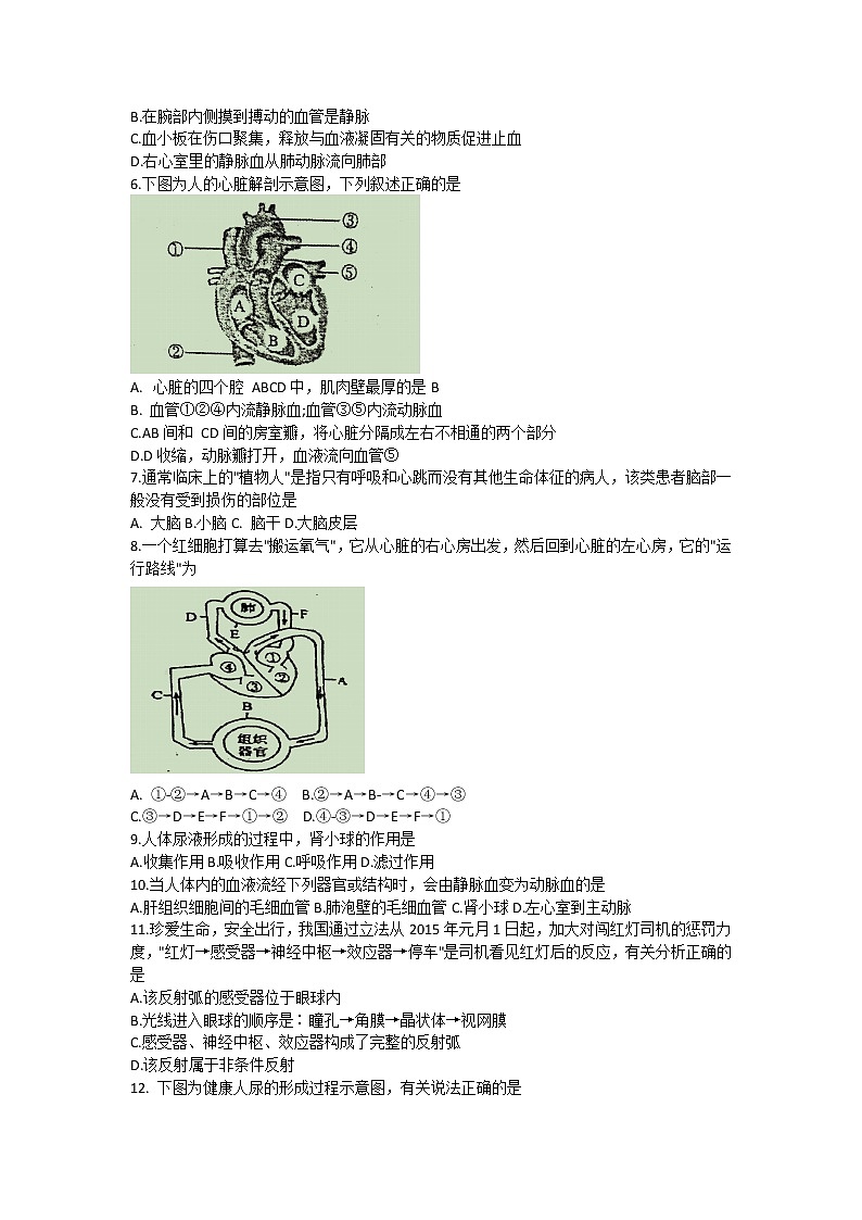江苏省邳州市2020-2021学年八年级上学期期中检测生物试题（word版含答案）第2页