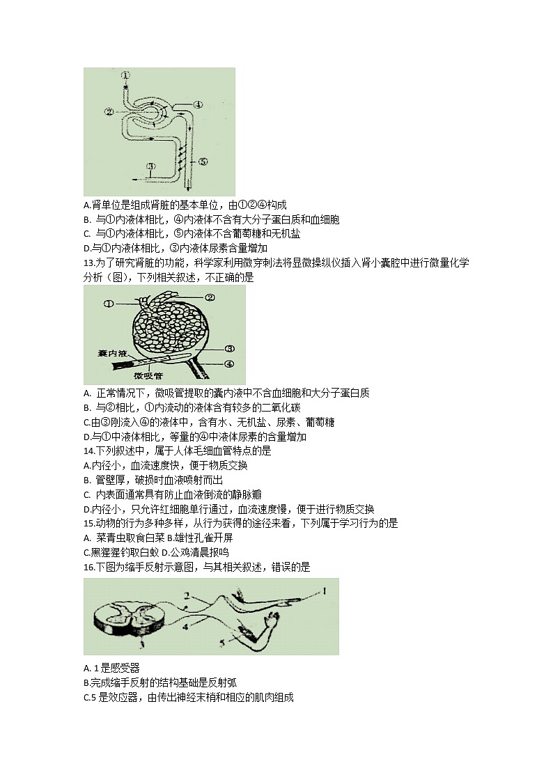 江苏省邳州市2020-2021学年八年级上学期期中检测生物试题（word版含答案）第3页