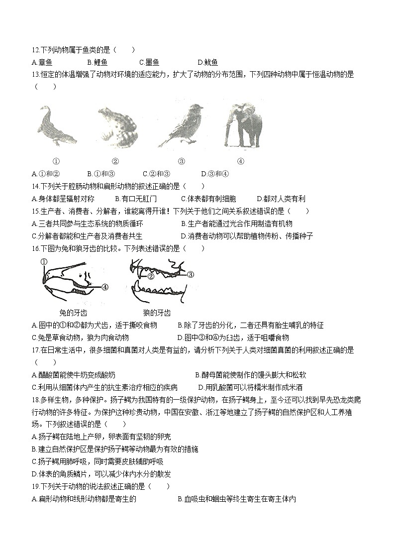 吉林省长春市汽开区2021-2022学年八年级上学期期中学科素养调研生物试题（word版含答案）02