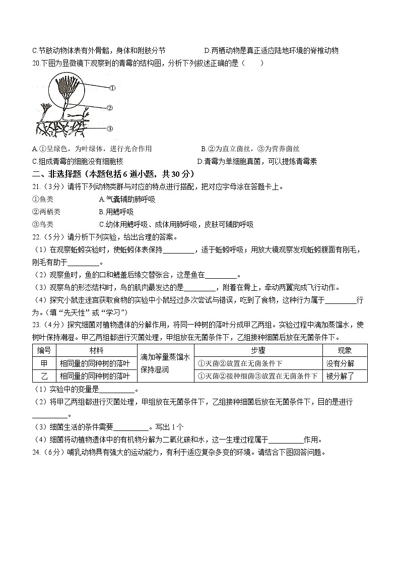 吉林省长春市汽开区2021-2022学年八年级上学期期中学科素养调研生物试题（word版含答案）03