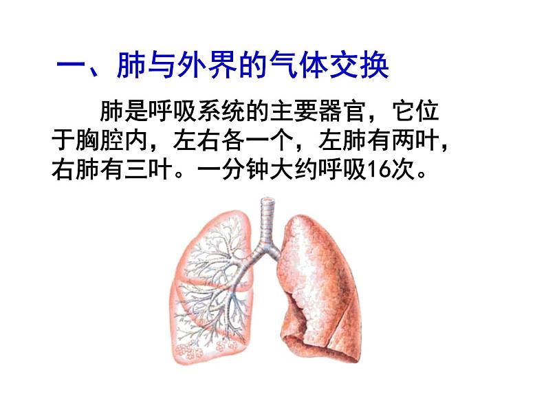 第三章第二节_发生在肺内的气体交换课件PPT03