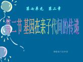 7.2.2基因在亲子代间的传递课件PPT