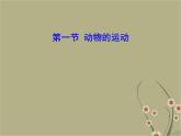 八年级生物 5.2.1动物的运动课件PPT