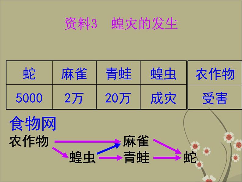 5.3动物在自然界中的作用课件PPT第8页