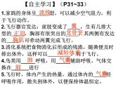 八年级生物 5.1.6鸟课件PPT