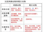 八年级生物 5.1.6鸟课件PPT