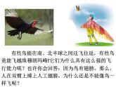 八年级生物 5.1.6鸟课件PPT